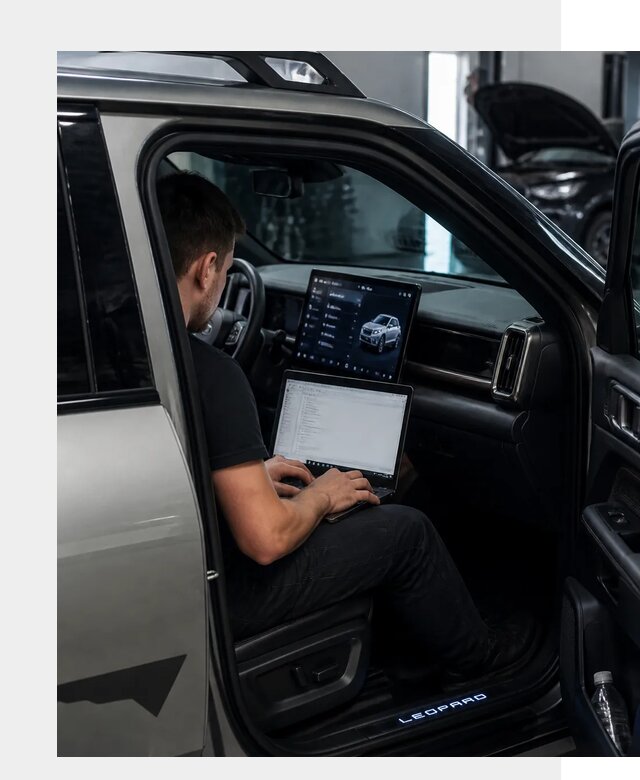 Русификация BYD Leopard 3 в Соликамске по цене от 20507 р. | ФастМобиль-Слк